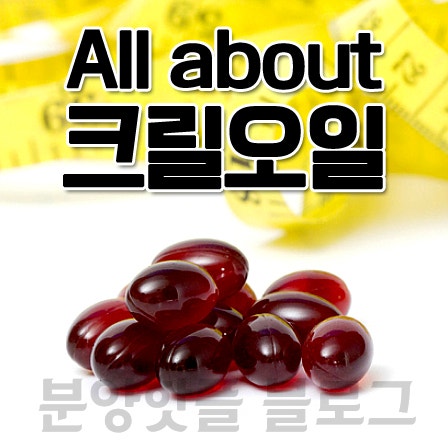 크릴오일 부작용과 복용법,효능,고르는 법까지!