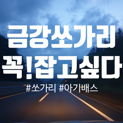 쏘가리 실패하고, 옥천 뿌리깊은나무 가기