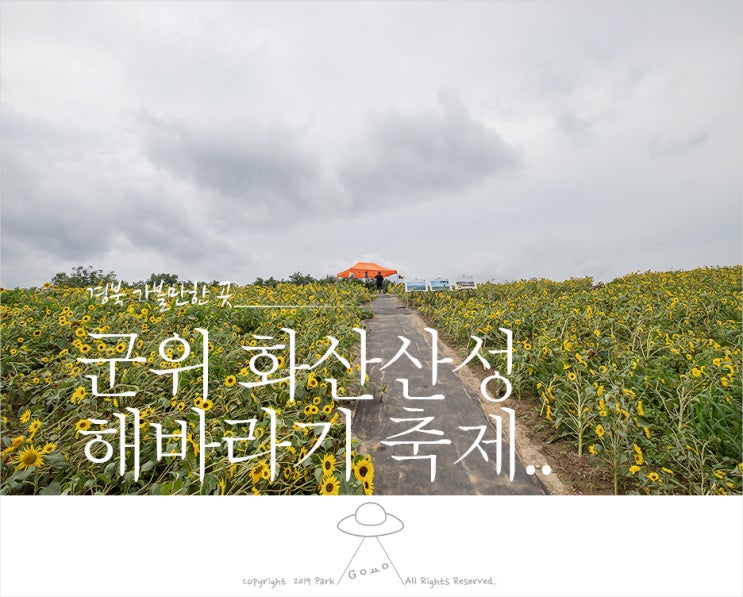 [군위여행] 우울한 귀갓길???.. 군위 화산마을 해바라기 축제???..
