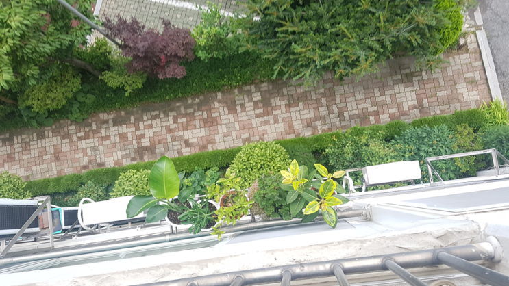 신과함께 죄와벌<신과함께 천만관객 죄 영화  우유 베이킹 파우더