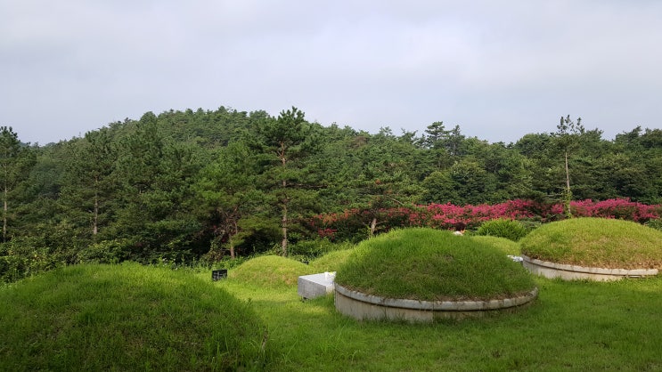 칠월칠석에 만난 소원