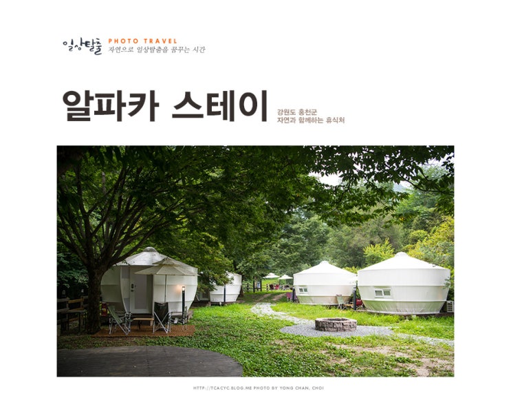 홍천 캠핑장 시원한 계곡물과 숲이 있는 알파카 스테이