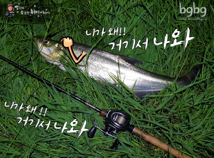 한강배스 니가 왜 거기서 나와