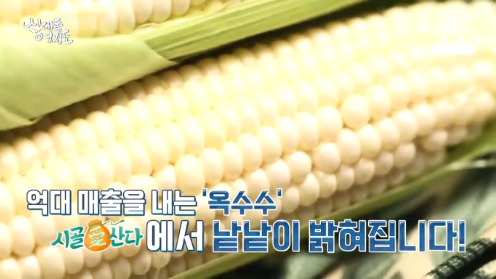 신대동여지도 옥수수 연매출 4억 옥수수왕 시골에 시골애 산다 기적의건강밥상 레몬밤 과민성 대장 증후군 306회 신대동여지도 고흥 삼시 세끼 여행 가나댁 글라디스 여행의고수 촬영지