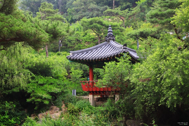 인왕산 수성동계곡 여름날 산책, 서울 걷기좋은길, 서울 가볼만한곳