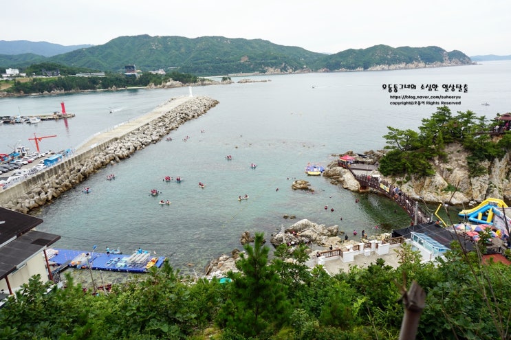 삼척 가볼만한곳 생활의달인 꽈배기 먹고 가본 장호항