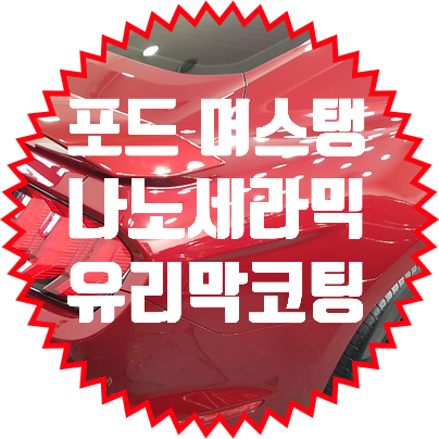 포드 머스탱 나노세라믹코팅 차량보호효과를 경험하세요.
