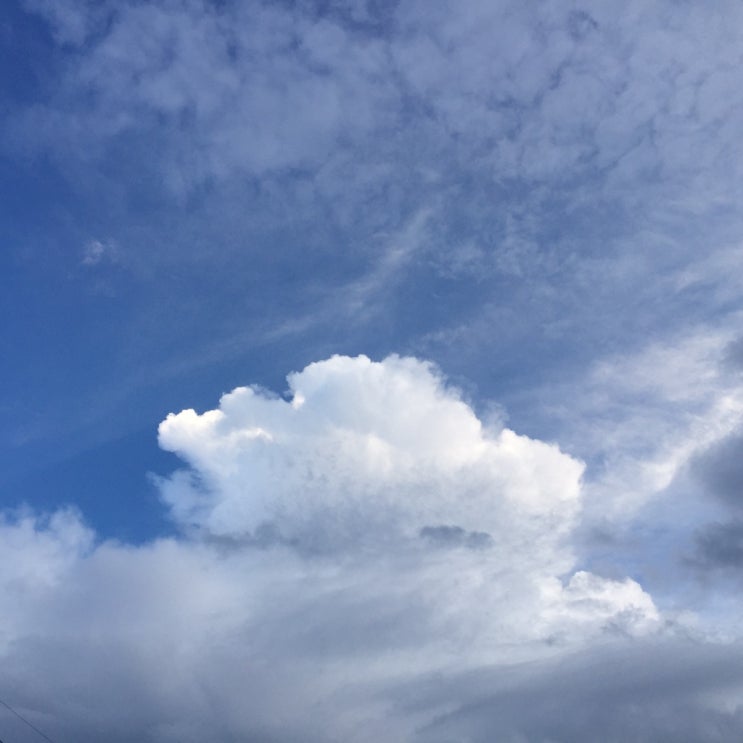 핑클 캠핑클럽보며 제주도캠핑여행로망(제주캠핑카 가격)