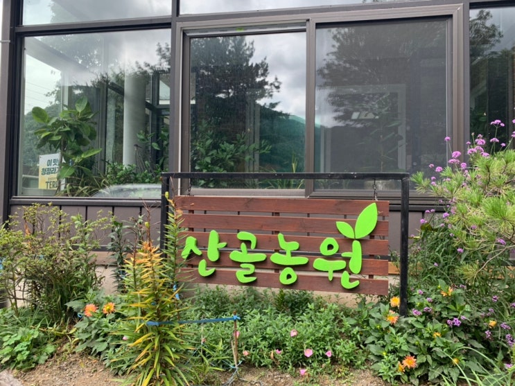전.참.시 이영자가 추천한 가평 솥뚜껑 닭볶음탕 : [산골농원]