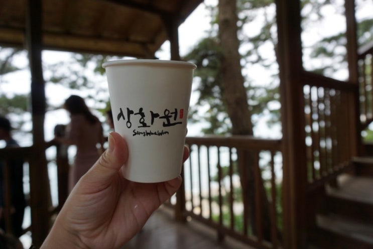 보령 가볼만한곳. 아이와 당일치기로 죽도 상화원 힐링 바다정원