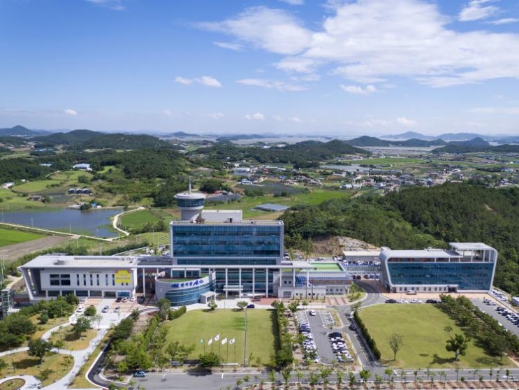 신안군, 홍도 섬 불볼락 축제 태풍으로 연기 
