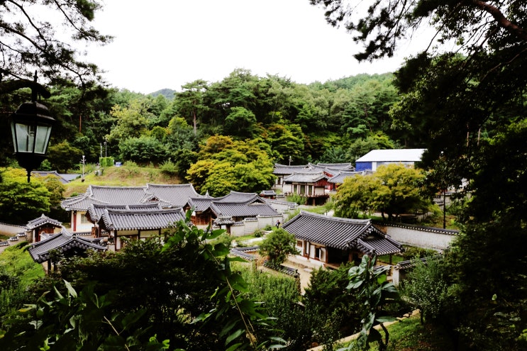 안동 가볼만한곳 도산서원 신세동벽화마을 감성가득