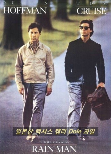 서번트증후군을 소재로 한 국내외 영화 레인맨 그것만이 내세상 