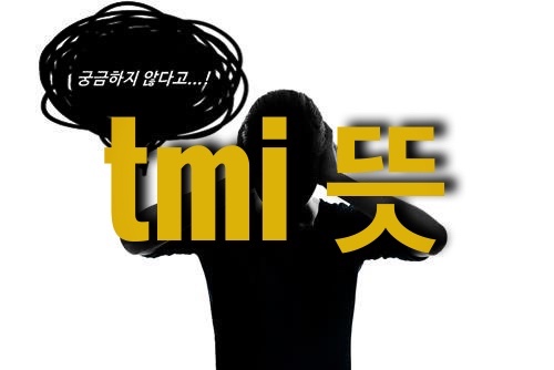tmi 뜻 정확한 이해와 유래