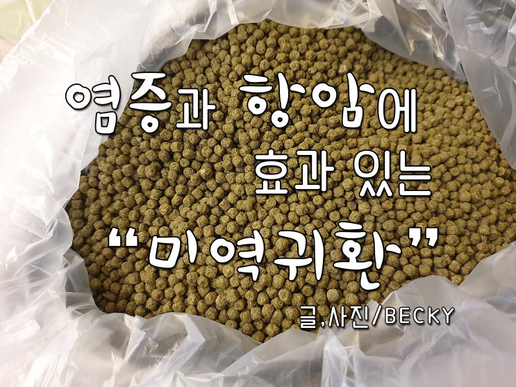 경동시장 명성 제분소에서 만들어온 미역귀 환