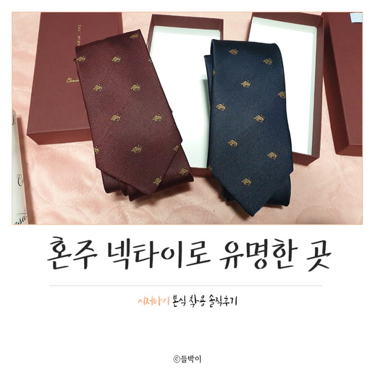 양콩들박 결혼이야기[13]시저타이-혼주 넥타이 후기/실제 본식사진 첨부