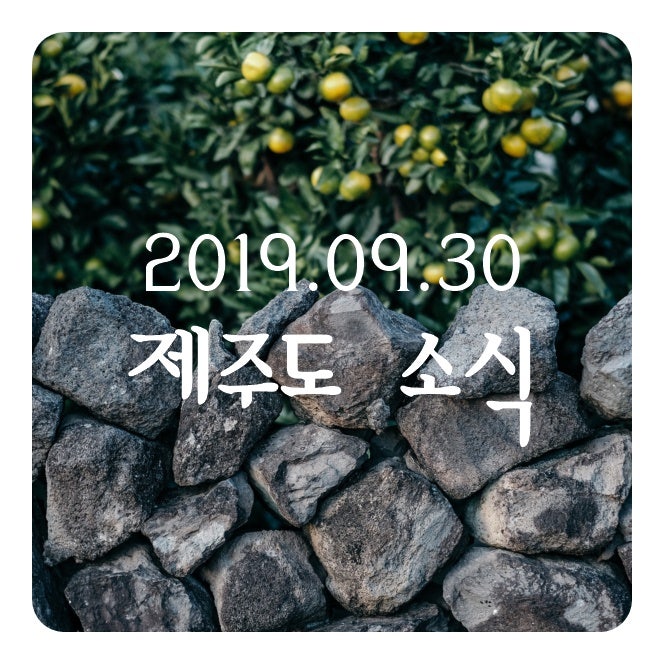 9/30 제주 태풍 미탁 내일 본격 영향권..3일까지 최고 600