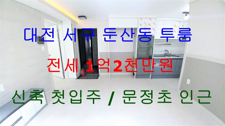 대전서구둔산동신축첫입주투룸/문정초인근신축거실큰투룸/둔산3동신축첫입주투룸