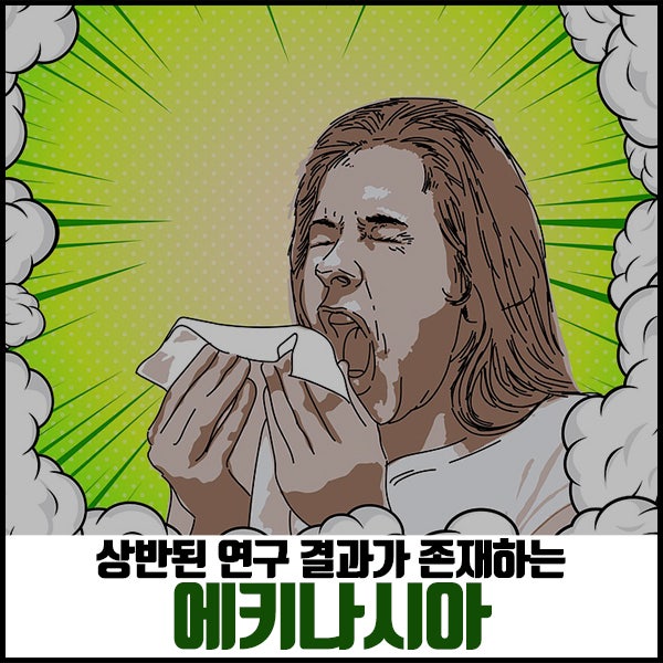 감기에 좋다고 알려진 에키나시아 효능