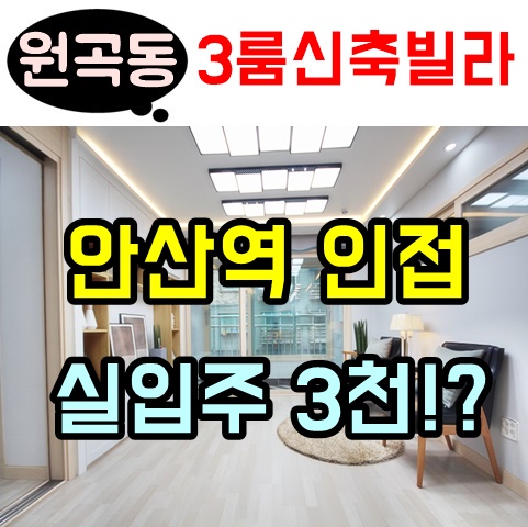 원곡동신축빌라 보고또보고