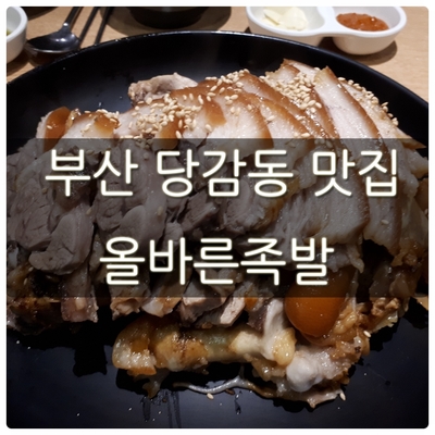 부산 당감동 맛집 올바른족발 단골이 될 거 같아!