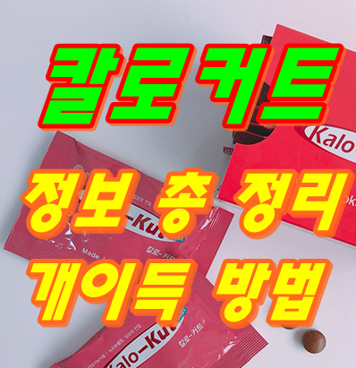 칼로커트 가격 다람쥐 한쌍이