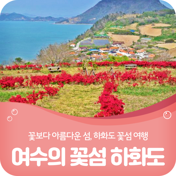 꽃보다 아름다운 섬, 전남 여수 하화도 꽃섬여행!