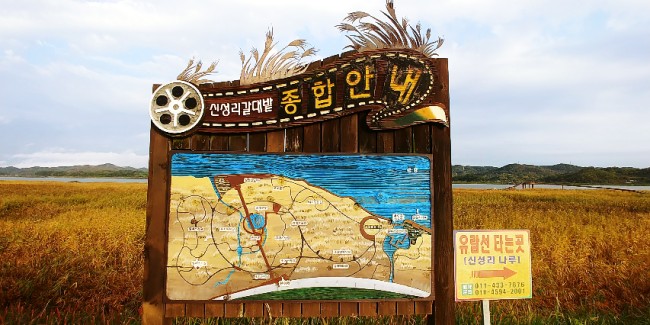 서천 신성리 갈대밭 공동경비구역 JSA촬영지~