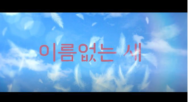 이름없는 새 영화 줄거리 결말 분석해보기 3명의 남자 1명의 여자 아오이 유우 아베 사다오
