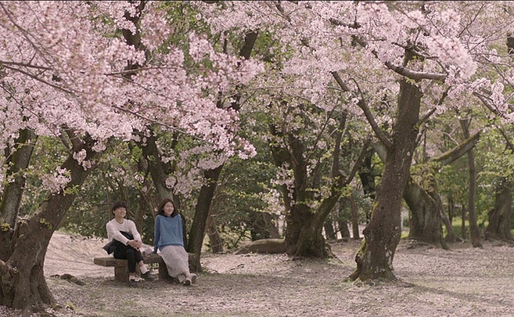 영화 『 막다른 골목의 추억 』 デッドエンドの思い出 , Memories of a Dead End - 최현영, 2018 영화 『 막다른 골목의 추억 』 デッドエンドの思い出 , Memories of a Dead End - 최현영, 2018