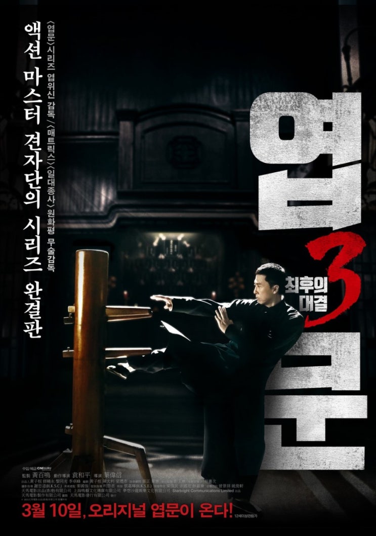 엽문3: 최후의 대결을 보고