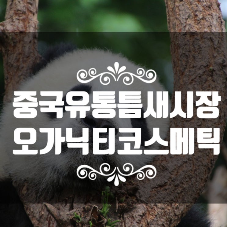 중국틈새유통시장을 활용하는 법 #오가닉티코스메틱 #차로수