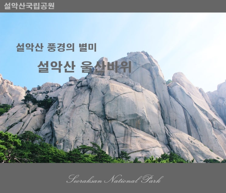 [설악산국립공원] 누구나 부담없이 즐겨 찾는 설악산 풍경의 꽃  울산바위