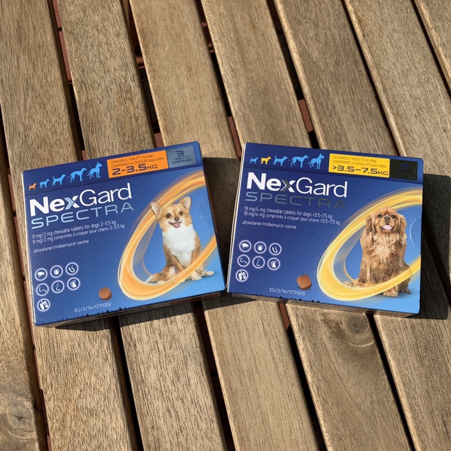 강아지 구충제 추천: 넥스가드 스펙트라(Nexgard Spectra)