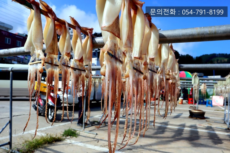 울릉도 렌트카 타고 울릉도여행 맘껏 즐기자..!!