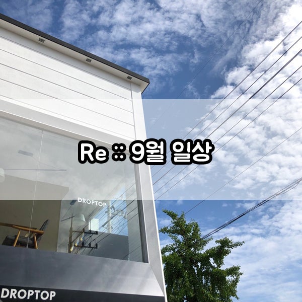 9월 일상 :: 알바때려침, 수업 째고 해외여행, 강아지한테 갈굼당함, 자나깨나 떡볶이