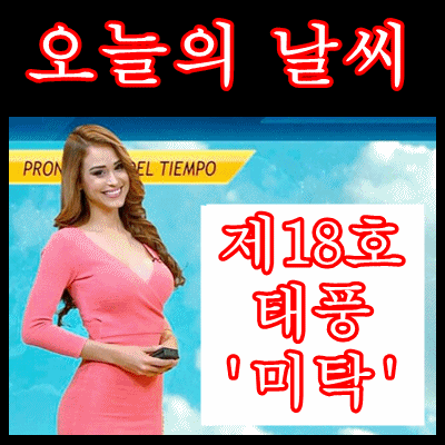 제 18호 태풍 미탁 대구 경북 관통...대구경북 3명 사망,2명 실종, 태풍 미탁 피해 속출 울산 태화강 홍수주의보, 강원 영동 산지 태풍경보, 그 외 지역 모든 특보해제
