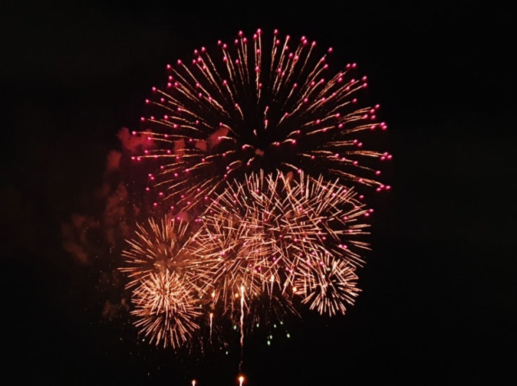 [일상/팁] 여의도 불꽃축제 가기, 명당 공유(노들역, 한강철교-원효대교 사이)