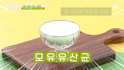 락토바실러스 가세리 BNR17 핵심 균주! 모유유산균 효능 제대로 알고 먹기~