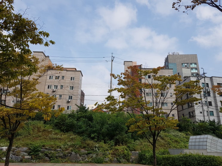 19'10.1 정부 발표 내용