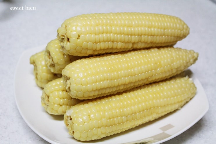 강원도 찰옥수수 맛있게 삶는법 더 늦기전에 얼른 먹자!