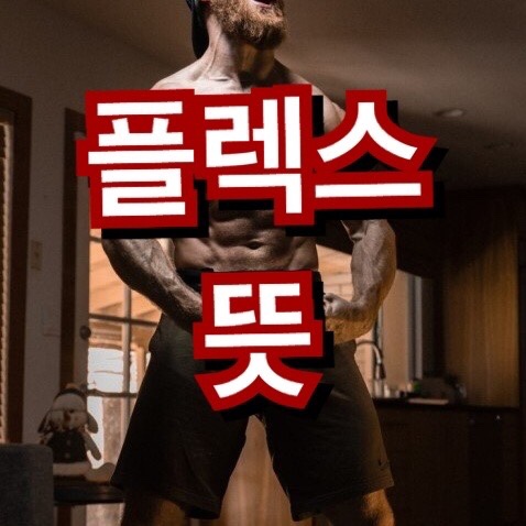 플렉스 뜻 염따 티셔츠 슬리퍼 빠끄 신조어