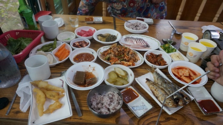 【후포항맛집】서산갯마을  밴댕이맛집&전어맛집 둘다 맛있쬬