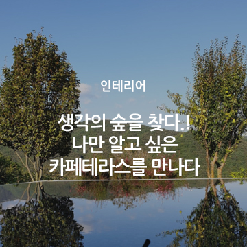 생각의 숲을 찾다.! 나만 알고 싶은 카페테라스를 만나다...