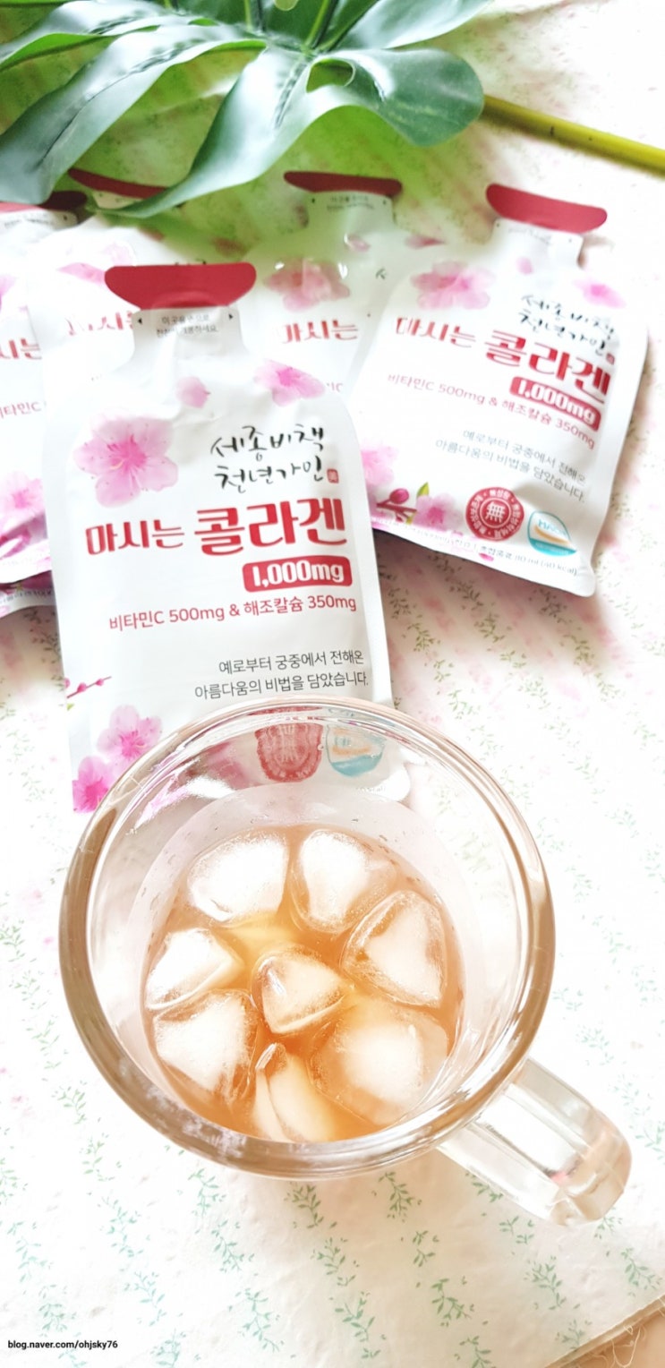 콜라겐 -세종비책 천년가인 마시는 콜라겐
