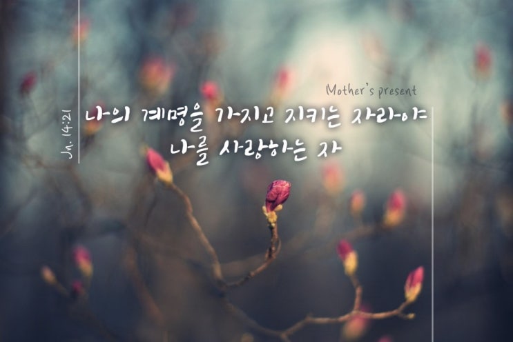 하나님의교회 초막절 & 추수감사절 중 과연 어떤 것이 성경적일까? (안상홍님 어머니 하나님 가르침)