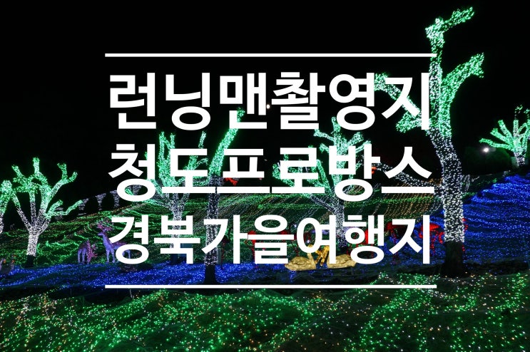 [런닝맨 촬영지]경북 가을 여행지 청도 프로방스 인생샷 남겨요