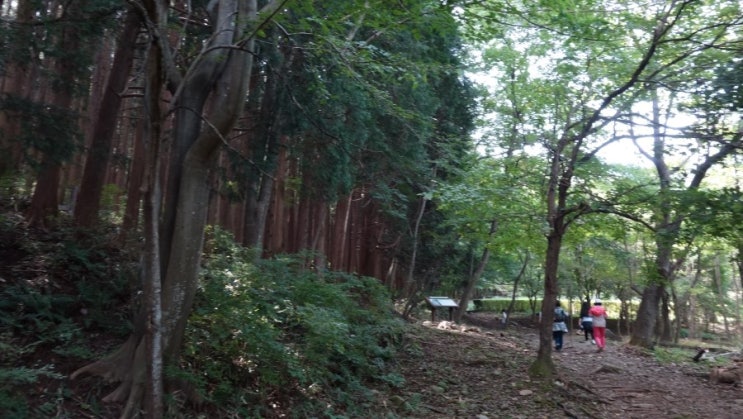 순천 _ 조계산 천년불심길 (선암사 ~ 송광사)
