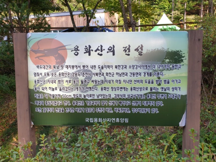 <춘천 가볼만한곳> 국립 용화산 자연휴양림 ; 춘천 여행 춘천 가성비좋은숙소 가을여행 가족여행 힐링여행