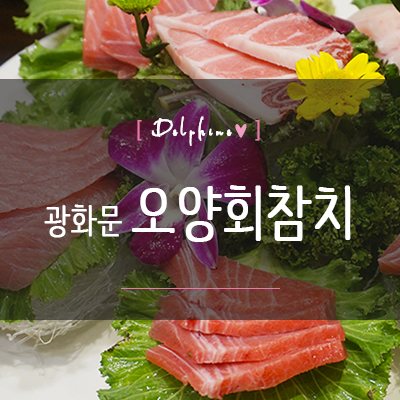 광화문참치 오양회참치 동화면세점 맛집